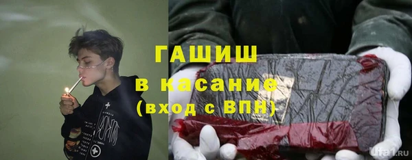 гидра Краснослободск