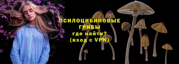 прущие крисы Коряжма