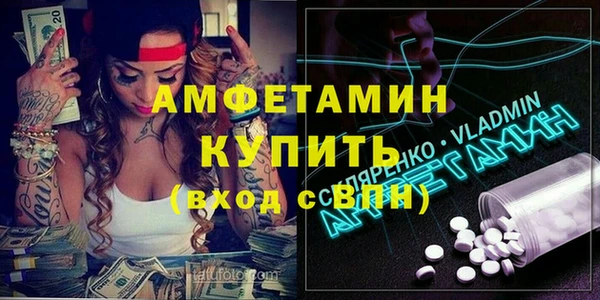 гидра Краснослободск