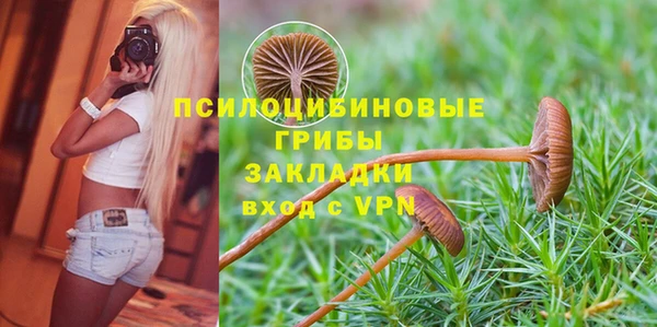 мдпв Краснотурьинск