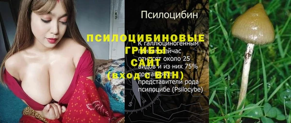 гидра Краснослободск