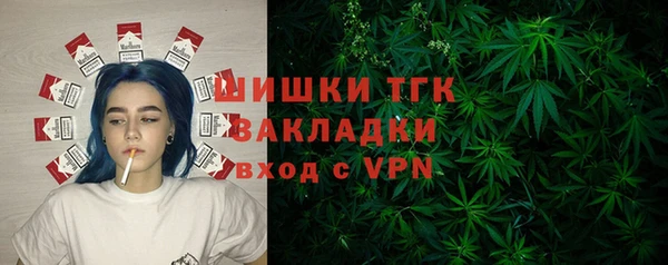 гидра Краснослободск
