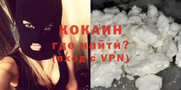 сатива Корсаков