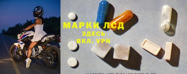 гидра Краснослободск