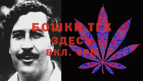 гидра Краснослободск